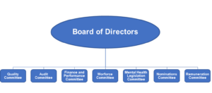 Diagram showing the board sub-committees hierarchy. It shows that the Board of Directors is the parent group of the quality committee; audit committee; Finance and Performance Committee; Workforce Committee; Mental Health Legislation Committee; Nominations Committee; and the remuneration committee.