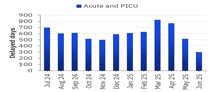 A vertical bar chart titled "Delayed Days – Acute and PICU" displays data from July 2024 to June 2025. The x-axis represents each month in this period, while the y-axis measures the number of delayed days, ranging from 0 to 900. Each bar corresponds to a month and reflects the total number of delayed days for patients awaiting discharge or transfer from Acute and Psychiatric Intensive Care Unit (PICU) settings. The chart highlights a significant peak in March 2025, which records the highest number of delayed days, followed by April 2025. The lowest number of delayed days is observed in June 2025. The chart visually emphasizes fluctuations in discharge delays over the year.