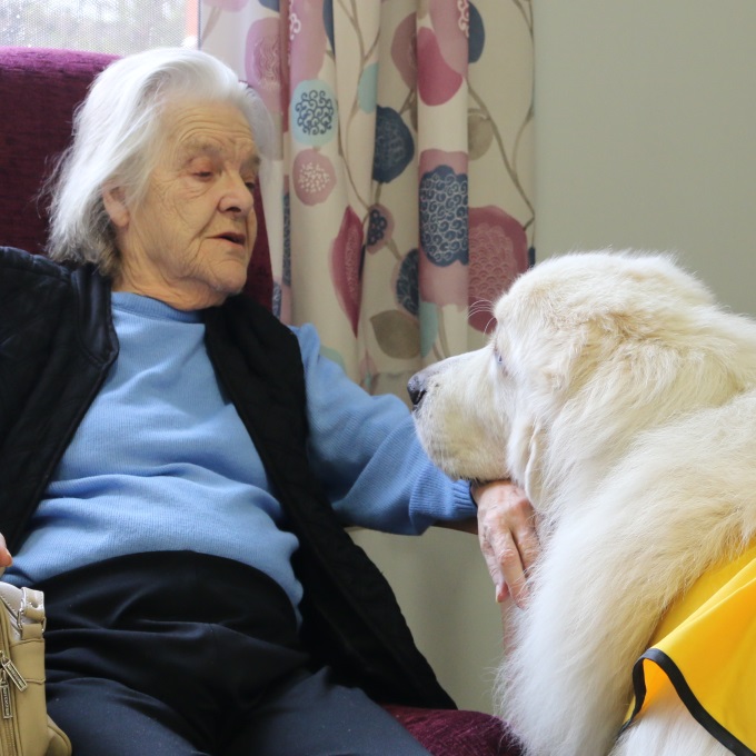 Image of service user with therapy dog