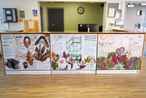 A reception desk fronted by three panels of collaborative artwork featuring handwritten notes, sketches, and nature imagery.